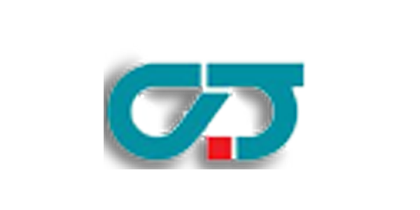 نمونه کارها